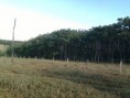 /album/galeria-de-fotos/planta%c3%a7ao-inicial-jpg/